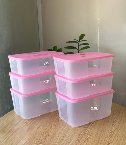 Bộ 6 Hộp Đựng Thực Phẩm Tupperware Trữ Đông Gen I Medium 2.3L & 1.5L - Nắp Hồng