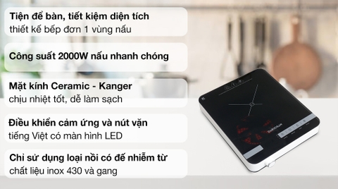 Bếp từ Daikiosan DKT-100004