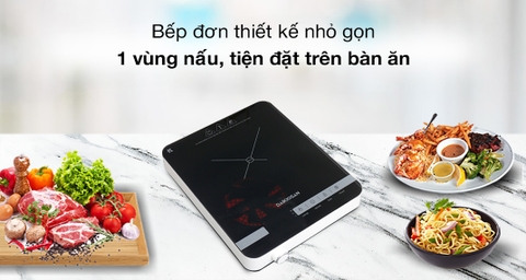 Bếp từ Daikiosan DKT-100004