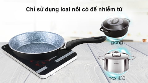 Bếp từ Daikiosan DKT-100004