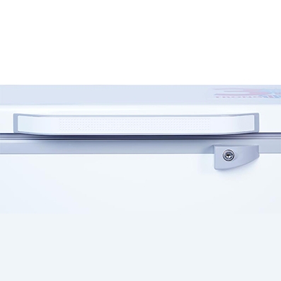 Tủ đông Sanaky 1399HY3