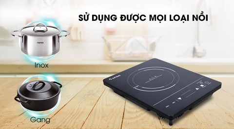 Bếp hồng ngoại Rapido RC2000ES