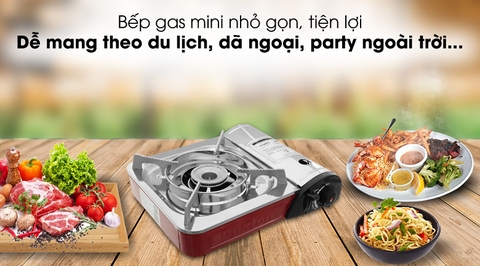 Bếp ga mini Duxton DG-290