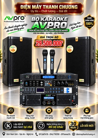 Dàn Karaoke AVPRO 313