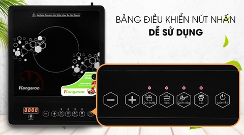 Bếp điện từ Kangaroo KG15IC1