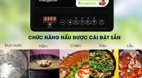 Bếp điện từ Kangaroo KG15IC1