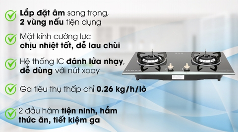 Bếp ga âm Duxton DG-2BGV