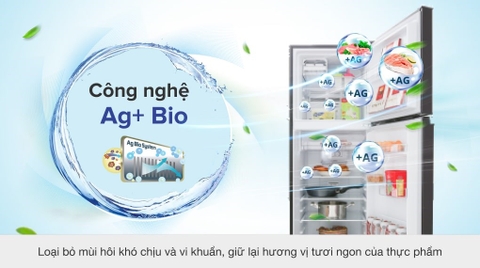 Tủ lạnh Toshiba Inverter 253 lít GR-B31VU SK