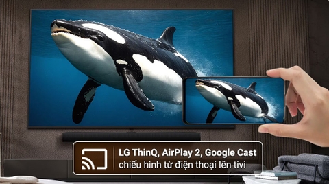 Smart Tivi NanoCell LG AI 4K 65 inch 65NANO80ASA