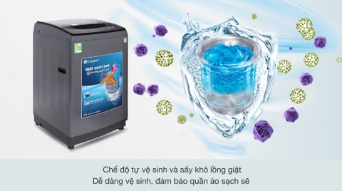 Máy giặt Casper 9.5 kg WT-95N68BGA