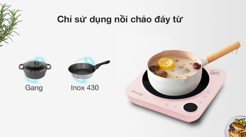 Bếp từ Dreamer DC-IH01P