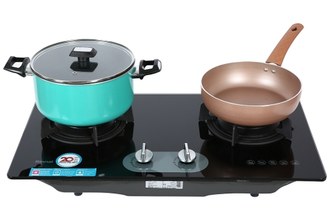 Bếp ga âm Rinnai RVB-220G(BG)