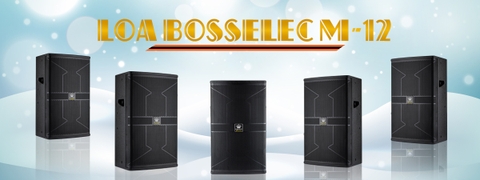 LOA KTV BOSSELEC SX 912