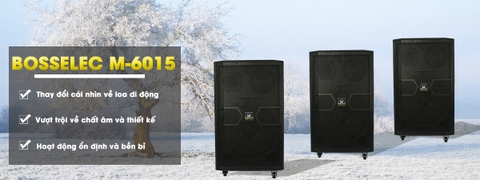 LOA KTV BOSSELEC M 6015