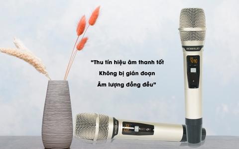 LOA KTV BOSSELEC M 6015