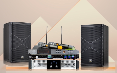 Cục đẩy công suất AM DH-450 - VinaKTV