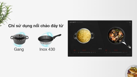 Bếp từ đôi lắp âm AVA LY-DS3S