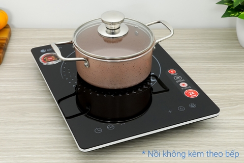 Bếp từ Elmich ICE-3874