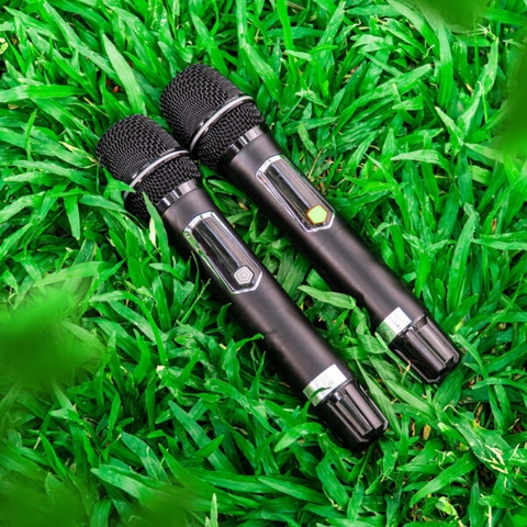 LOA XÁCH TAY NANOMAX X17