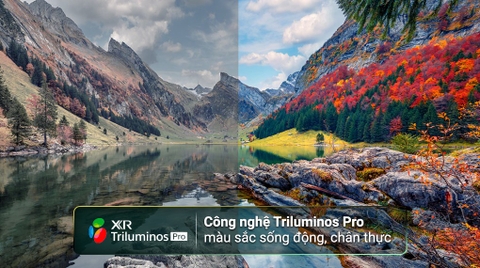 Google Tivi Sony 4K 65 inch KD-65X85L