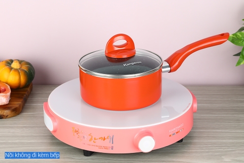Bếp từ Hawonkoo CEH-101-I-PK