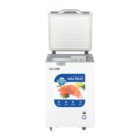 Tủ đông Hoà Phát HPF AD6107.T1