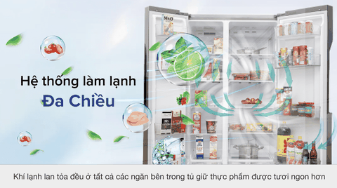 Tủ lạnh LG Inverter 613 lít GR-B247JDS