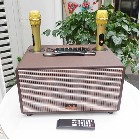 Loa karaoke xách tay bluetooth BNIB BN-116