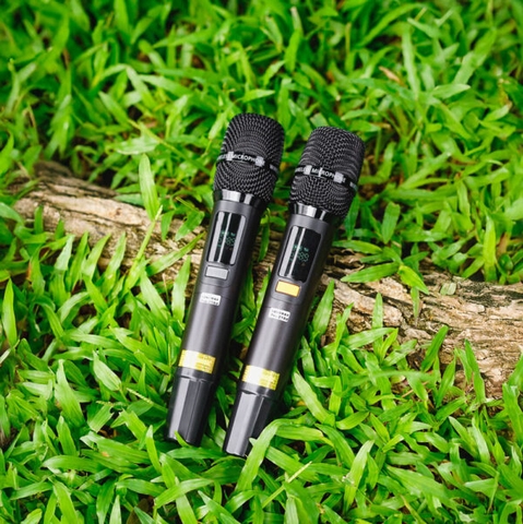 Loa Kéo Nanomax Pro-218d Bass Đôi 50cm 3250w