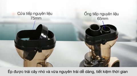 Máy ép chậm Ferroli FSJ-200M