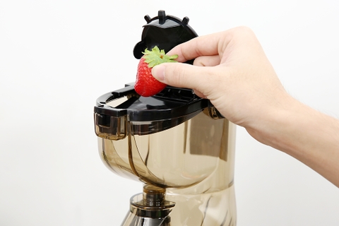 Máy ép chậm Kangaroo KG200SJD1