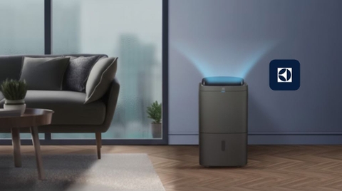 Máy hút ẩm kết hợp lọc không khí Electrolux EDH16TRBD3
