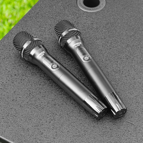 Loa Kéo Điện Nanomax Pro-703 Bass Đôi 40cm 2400w