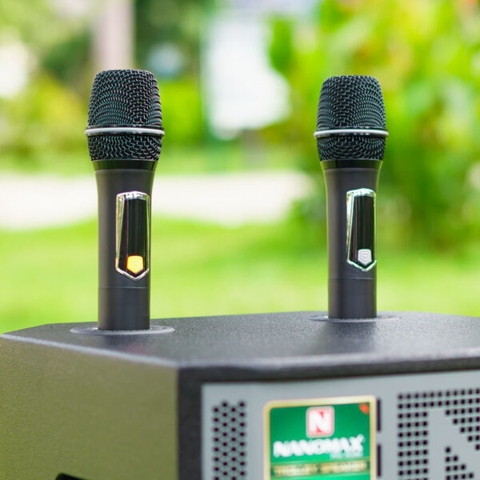 Loa Kéo Nanomax SK-12X5 Bass 30cm 400w