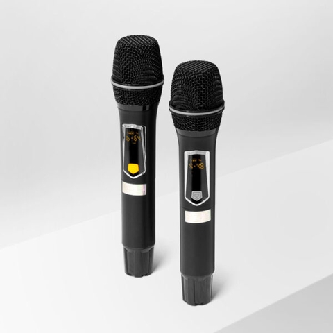 Loa Karaoke Xách Tay Nanomax X-22 Bass Đôi 20cm 380w