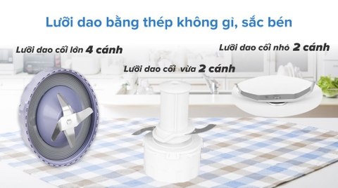 Máy xay sinh tố đa năng Philips HR2223/00