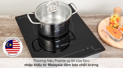 Bếp từ đơn lắp âm Pramie 1108