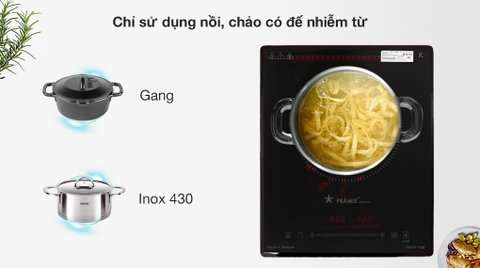 Bếp từ đơn lắp âm Pramie 1108