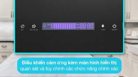 Máy hút mùi áp tường Pramie DE19-700