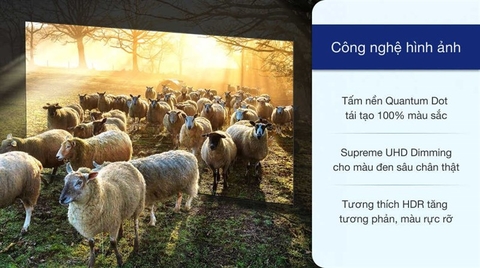 Smart Tivi QLED 4K 55 inch Samsung QA55Q65A