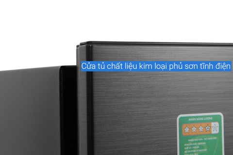 Tủ lạnh Samsung Inverter 302 Lít RT29K503JB1/SV