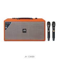 Loa xách tay CW500