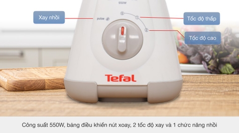 Máy xay sinh tố đa năng Tefal BL309166