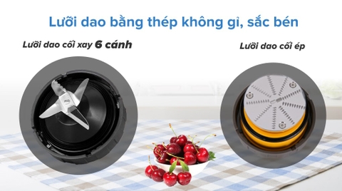 Máy xay sinh tố đa năng Tefal BL42Q166