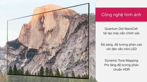 Smart Tivi QNED LG 4K 65 inch 65QNED91TPA