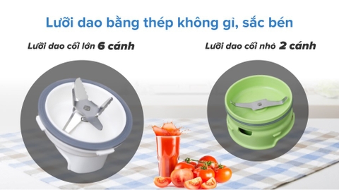 Máy xay sinh tố đa năng Tefal BL307165