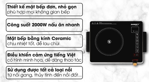 Bếp hồng ngoại Sanaky SNK 2525HGN