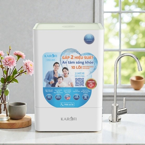 Máy lọc nước RO Karofi KAQ-U65