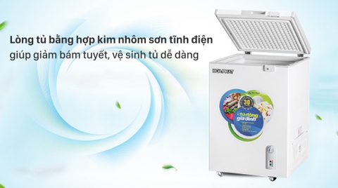 Tủ Đông Hòa Phát 100 Lít HCF 106S1N