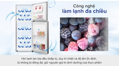 Tủ lạnh Samsung Inverter 208 lít RT19M300BGS/SV06